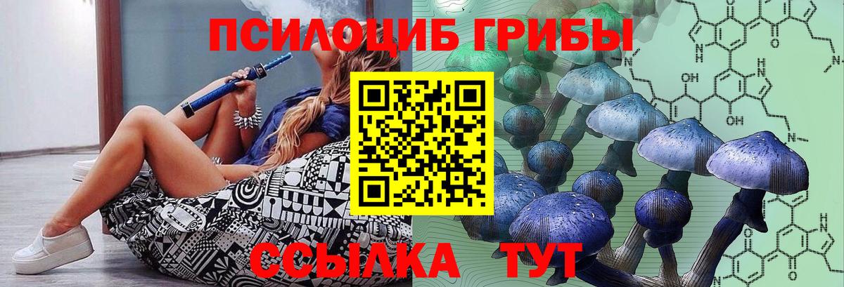 Галлюциногенные грибы Cubensis Светлоград