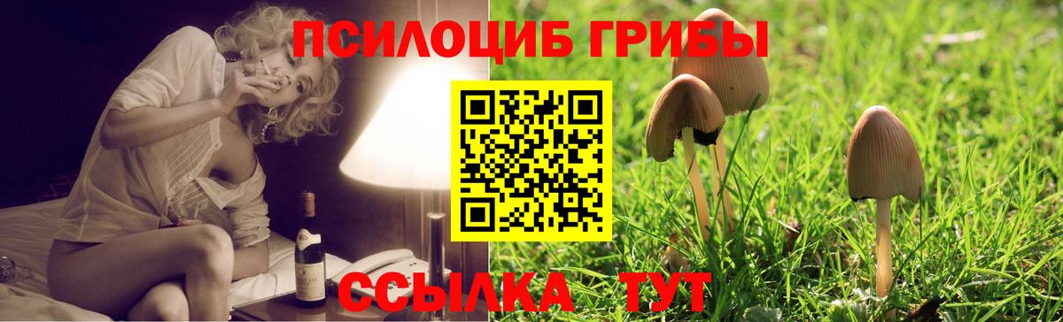 Светлоград  наркота  Галлюциногенные грибы мухоморы  Вход с VPN  Галлюциногенные грибы ЛСД 